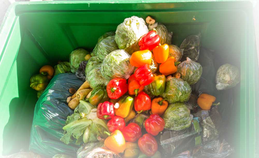 Verduras en bote de basura
